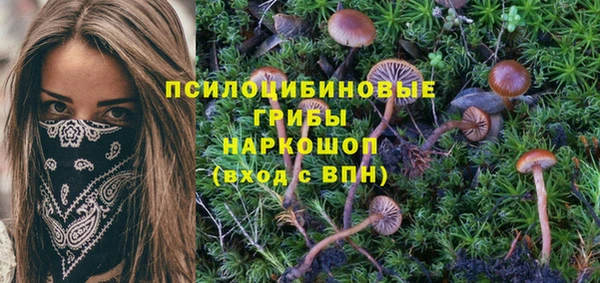 стаф Дмитров