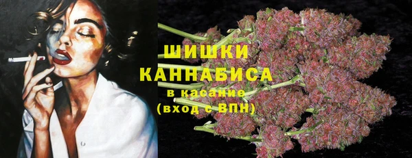 стаф Дмитров